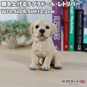 �� �u�� ������ ���킢�� ����12.2cm �����グ�� ���u���h�[�����g���o�[ woobia �E�[�r�A �C�k ������� �K�[�f�� �C���e���A �g�C�� �I�u�W�F ���� �v���[���g �k�� ���� �G�� ���� ���_�� ��