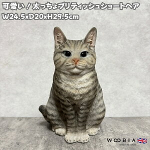 L u Ał킢  傫 ueBbVV[gwA j[uE lR 29.5cm woobia E[rA K[f CeA IuWF  v[g k  