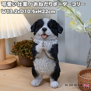 ���킢�����̒u�� ���˂���{�[�_�[�R���[ ����22cm woobia �E�[�r�A ������� �K�[�f�� �C���e���A �g�C�� �I�u�W�F ���� �v���[���g �k�� ���� �G�� ���� ���_�� �ʔ��� �� �M�t�g ���O �� 