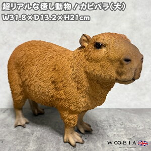 u Jso  킢IuWF ̒31.8cm woobia E[rA 傫 킢  K[f CeA  v[g k  G  _ ʔ  Mtg O  A 