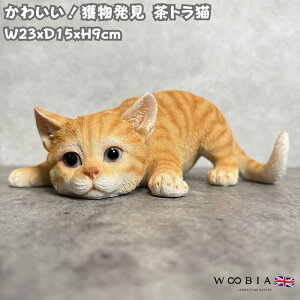 �u�� ������ ���� �l������ ���g���L �l�R ����9cm woobia �E�[�r�A �傫�� ���킢�� ������� �K�[�f�� �C���e���A �I�u�W�F ���� �v���[���g �k�� ���� �G�� ���_�� �ʔ��� �� �M�t�g ���O ��