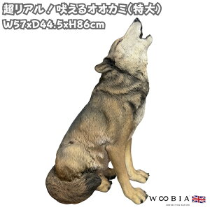 u iIIJ~  86cm IuWF woobia E[rA 傫 ^ 킢  K[f CeA  v[g k  G  _ ʔ  Mtg O 