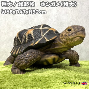 �u�� �z�V�K�� ���� �T�O�b�Y �̒�68cm woobia �E�[�r�A �傫�� ���킢�� ������� �K�[�f�� �C���e���A �I�u�W�F ���� ���� �v���[���g �k�� ���� �G�� ���� ���_�� �ʔ��� �� �M�t�g ���O �� 