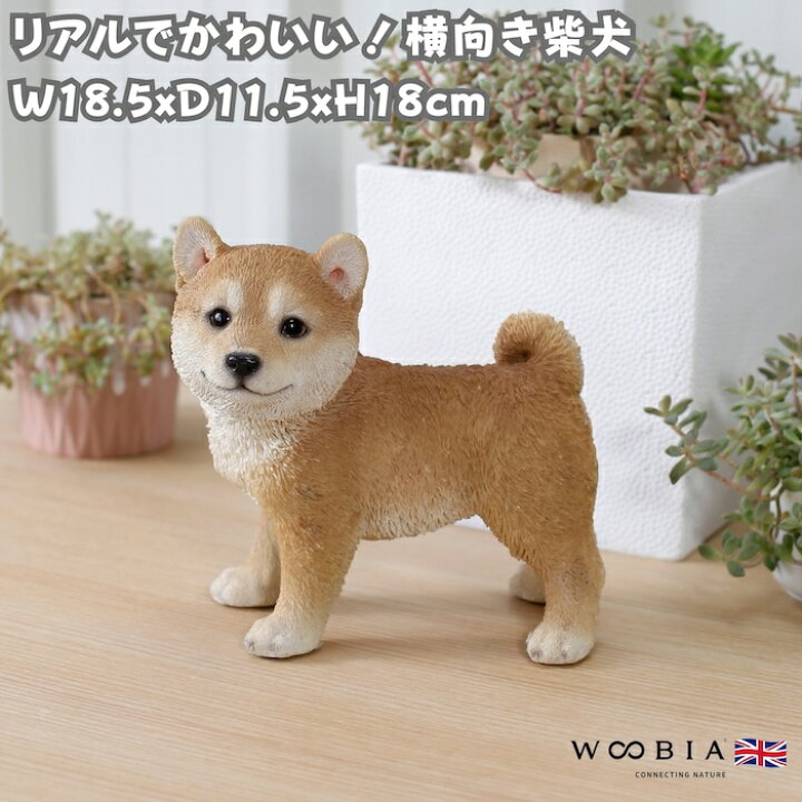 楽天市場】かわいい 犬の置物 高さ18cm 横向き柴犬 グッズ woobia 