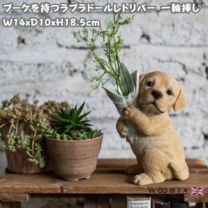 �� �u�� ������ ���킢���u�[�P�������u���h�[�����g���o�[ ��֑}�� woobia �E�[�r�A ������� �K�[�f�� �C���e���A �g�C�� �I�u�W�F �v���[���g �k�� ���� �G�� ���� ���_�� �ʔ��� �� �M