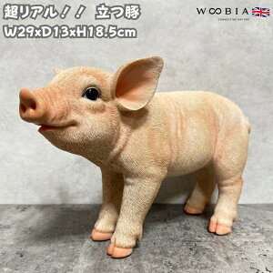 u  u^ObY 18.5cm woobia E[rA 傫 킢  K[f CeA IuWF  v[g k  G  _ ʔ  Mtg O  A 