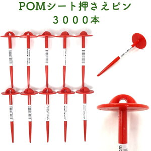 POMV[gs 15cm 3000{Zbg hV[g Œs sDz }`V[g ߋ Œ  _ ƒ؉  _ | lg 핢 vs V[g