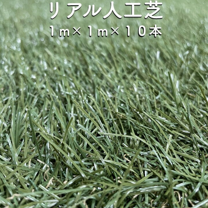 楽天市場】リアル人工芝 ロール つや消しタイプ 幅1m×長さ1m×10本 芝丈 