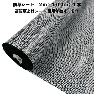 悯V[g  2m×100m 1{ hV[g ϋvN4N6N Rۍ UVܓ zCg ubN lHł̉ V[g Gh~V[g G΍ _Ǝ zd  }`O 