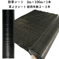 楽天市場】防草シート 2m×100mの通販