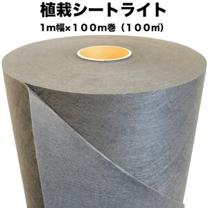 A̓V[gCg ʍ^Cv NsA A͎ɂ 1m×100m 