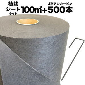  NsAp ȐA̓V[g1m×100mi100m2j+J^s̃Zbgi500{jZbg hV[g AJ[s