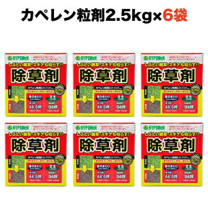     Jy2.5 Őɂgp\ y돈 DBN G𒷊ԗ} XMi⃈MɎg ^Cv  y돈^