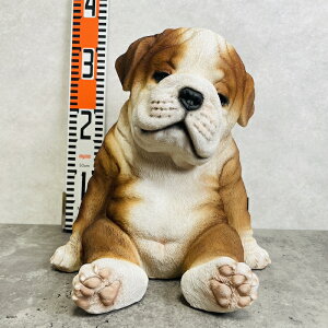 킢  u 肷uhbO  woobia E[rA Ck  K[f CeA IuWF  v[g k  G  _ ʔ  Mtg O  A 