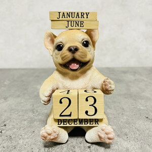 킢  u t`uhbȎtJ_[ woobia E[rA fXN Ck  K[f CeA gC IuWF  v[g k  G  _ 