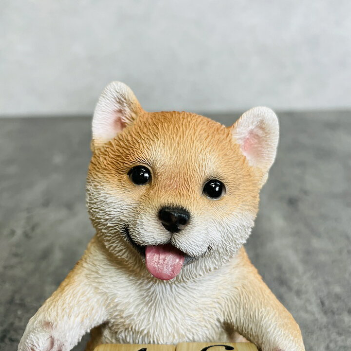 楽天市場】かわいい 犬 置物 高さ11cm 柴犬の卓上日付カレンダー 