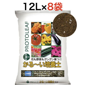 vg[t `|{y12L 8܂܂Ƃ߃Zbg |{y  pHς