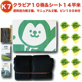 【予約特典あり】 クラピアK7（白） ポット苗10株 すくすくシート14平米+J字型ピン100本　肥料 活力剤2種、完全植栽マニュアル2種付き クラピア 芝桜 雑草対策 グランドカバー マルチング イワダレソウ（改良種）