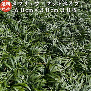 yr[Tz ^}Eiʗj}bg^Cv 60cm×30cm 5`30 1ā`5ėp G΍ OhJo[ a N  nA c A c  _  OhJ