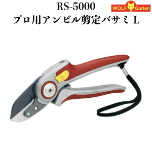 ΂ RS-5000 vdl EtKe Ar^Cv X`[n hCcuh WOLFGarten ͂  E } ~ ԗp  } ؂ꖡǂ ϗtA  V{