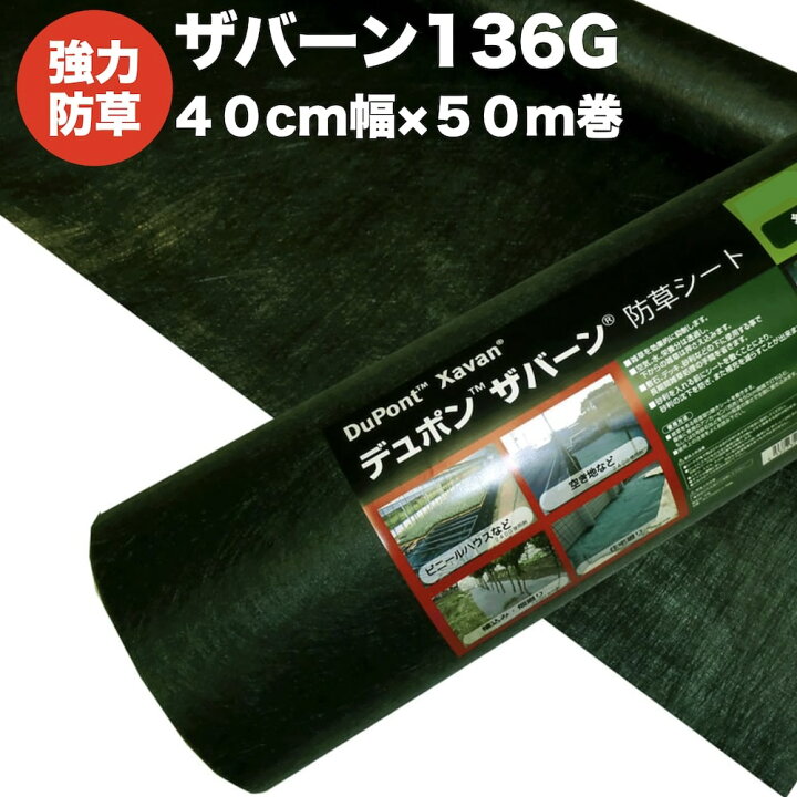 xavan-136-cut-040.jpg?fitin= 