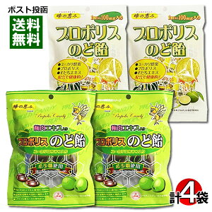 y[֑zTt[ v|X̂ǈ~GLXv|X̂ǈ e2܂Zbg