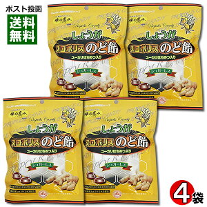 Tt[ 傤v|X̂ǈ 80g×4 ܂ƂߔZbg Ǐb mYIGLXgp VK[Xy[֑z