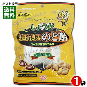 Tt[ 傤v|X̂ǈ 80g Ǐb mYIGLXgp VK[Xy[֑z