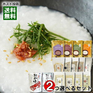 国産米のレトルトおかゆ 6種類&海鮮だし塩 6種類から2つ選べるお試しセット【メール便送料無料】