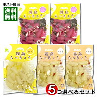 霧島食品 らっきょう甘酢漬け 6種類から5つ選べるまとめ買いセット 宮崎県産らっきょう使用【メール便送…