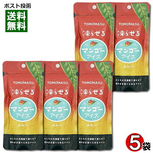 点銮n}S[ACX 80g×5܋lߍ킹Zbg 点ʎACX F TOMOMASU 点ƃV[xbg gsJt[c `[ybg `[`[ pE`y[֑