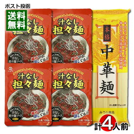 本格中華麺＆汁なし担々麺ソース 計4人前詰め合わせセット【メール便送料無料】