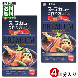 ベル食品 スープカレーの作り方（スープカレーの素） プレミアム 濃厚チキン 2皿分入り×2箱お試しセット 【メール便送料無料】