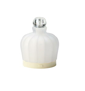 hi A}fBt[U[ hX~j ADF13-DRM zCg