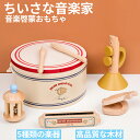 木のおもちゃ 楽器 5点セット 知育玩具 ドラム おもちゃ 子供 ミュージックボックス ミュージックセット MUSIC SET 木…