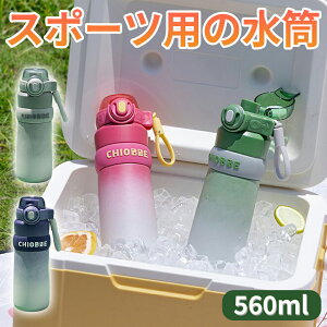  560ml V[X ^fM{g ۉ ۗ  ^b` ڂȂ y ^u[ RpNg y  ۉ ۗ y 􂢂₷  }O VR XeX ^