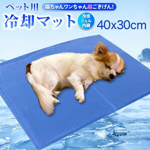 yňl풆z ⊴}bg ybgp WF ŋ ybg ⊴}bgX Ԓ VO L Ђ  N[}bg L[ 􂦂 N[ h ΍ p 1000~ |bL Ђ