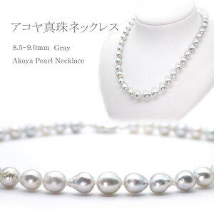 p[lbNX(g85-1010) AR^ 8.5`9.0mm O[ obN tH[}  uC_  ^썥 v[g 