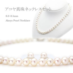 p[lbNX (w80-1018) AR^ 8.0`8.5mm tH[}  uC_  ^썥 v[g 