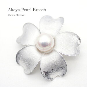 p[ u[`i6595j AR^ 8.5mm RT[W t[  Vo[ w Ǝ  p[eB[ v[g ̓