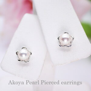 p[ sAX(5441jAR^ 5.5mm K14 WG zCgS[h  p[eB[ lC v[g ̓ 