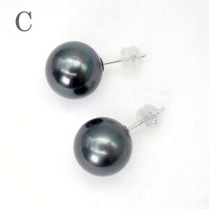 p[ sAXi5455j ^ 12.0mm ubNp[  K14WG zCgS[h Vv ꗱ X^bhsAX fB[X  w Ǝ p[eB[ v[g ̓ 