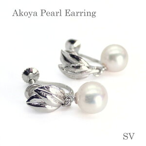 p[ CO (4266jAR^ 7.5mm h Vo[ [t fB[X uC_  p[eB[ v[g ̓ 