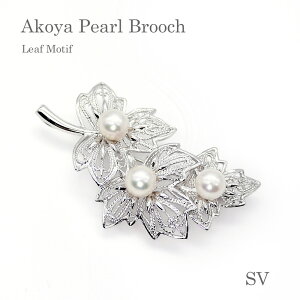 p[ u[`i6668jAR^ 7.0mm ~ 7.5mm SV Vo[ [t t A RT[W GKg w Ǝ tH[} T Zj[  uC_ p[eB[ ̓ 