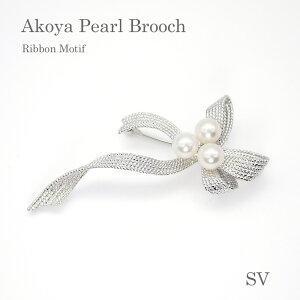 p[ u[`i6671jAR^ 6.0mm SV Vo[ { RT[W GKg w Ǝ tH[} T Zj[  uC_ p[eB[ ̓ 