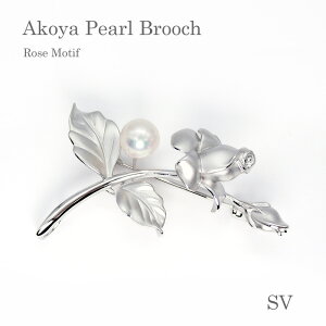 p[ u[`i6676jAR^ 8.0mm SV Vo[ o KN RT[W GKg w Ǝ tH[} T Zj[  uC_ p[eB[ ̓ 