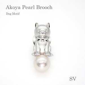 p[ u[`i6679jAR^ 8.5mm SV Vo[  Č xs Y w Ǝ tH[} T Zj[  ̓ 