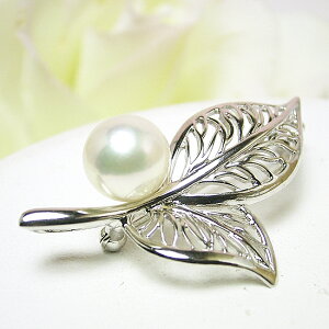 p[ u[`i6310jAR^ 8.0mm SV Vo[ RT[W [t ̓ w Ǝ tH[}  p[eB[ 