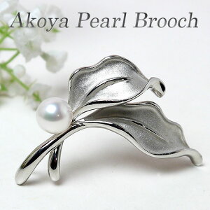 p[ u[`i6369j AR^ 8.5mm RT[W [t Vo[ w Ǝ  p[eB[ tH[} v[g ̓ 