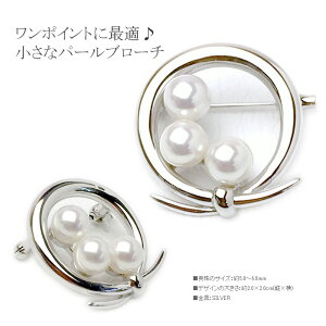 p[ u[` (6481j AR^ 5.0`6.0mm SV Vo[ Ԃ   { w Ǝ  p[eB[ ̓ 